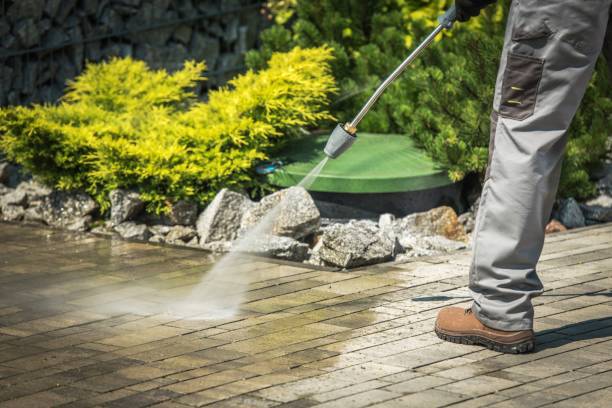 Best Warehouse Cleaning  in Bayport, MN