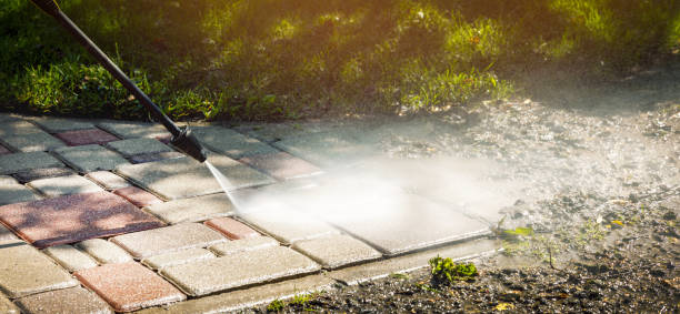 Best Building Exterior Washing  in Bayport, MN